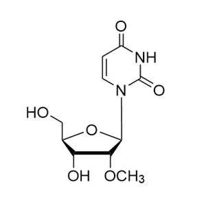 2'-甲氧基尿苷(2'-OMe-Ur)