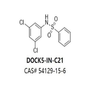 DOCK5-IN-C21
