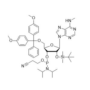 N6-Me-rA 亚磷酰胺单体