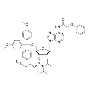 DMT-dA(PAc) 亚磷酰胺单体,DMT-dA(PAc)-CE-Phosphoramidite