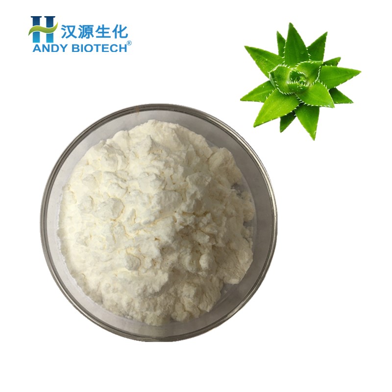 庫拉索蘆薈凝膠粉10:1,Curacao Aloe Vera Gel Juice Powder