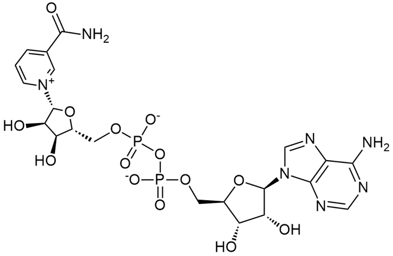 β-烟酰胺腺嘌呤二核苷酸,Nicotinamide adenine dinucleotide