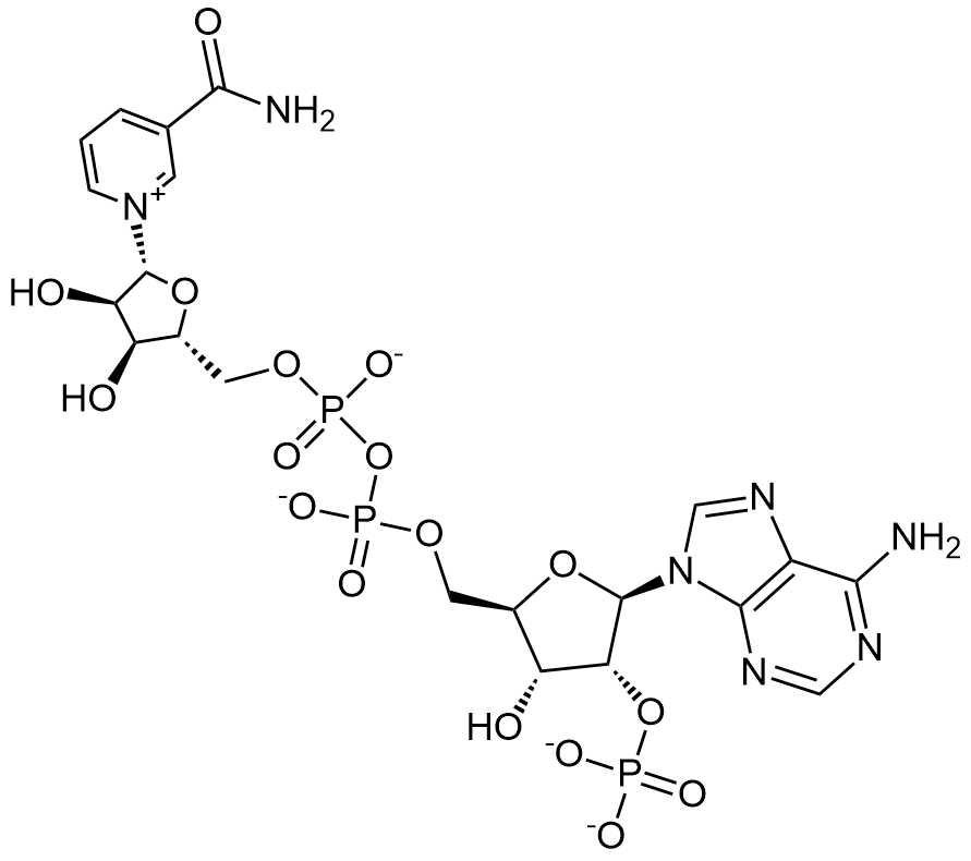 β-烟酰胺腺嘌呤二核苷酸磷酸二钠盐,β-Nicotinamide Adenine Dinucleotide Phosphate Disodium Salt