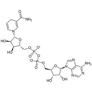 还原型烟酰胺腺嘌呤二核苷酸二钠盐,β-Nicotinamide Adenine Dinucleotide Disodium Salt, reduced form