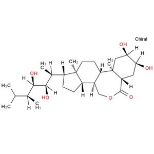 芸苔素内酯,Brassinolide