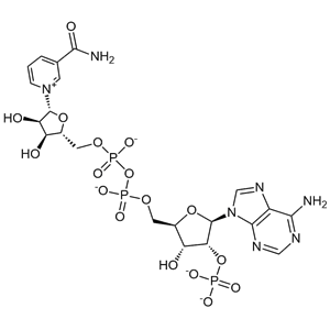 β-烟酰胺腺嘌呤二核苷酸磷酸二钠盐