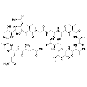 α-突刺蛋白61-75