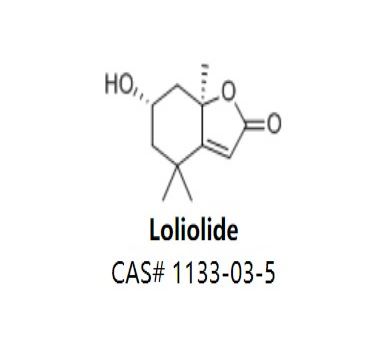 Loliolide,Loliolide