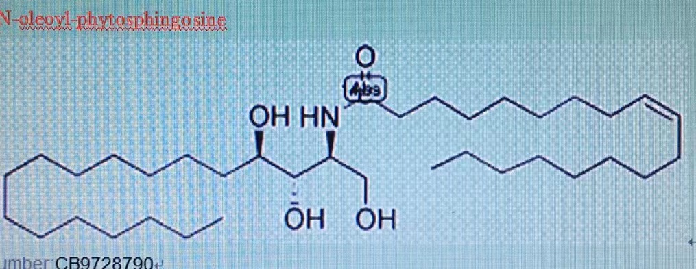 神经酰胺3B,Ceramide 3B