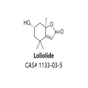 Loliolide