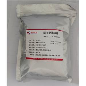 氨苄西林钠,Ampicillin sodium