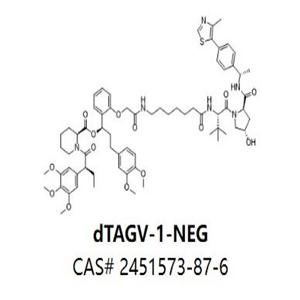 dTAGV-1-NEG,dTAGV-1-NEG