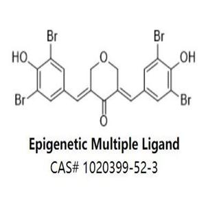 Epigenetic Multiple Ligand