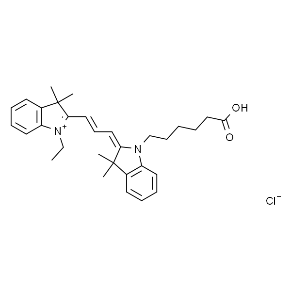 菁类荧光染料CY3,Cy3