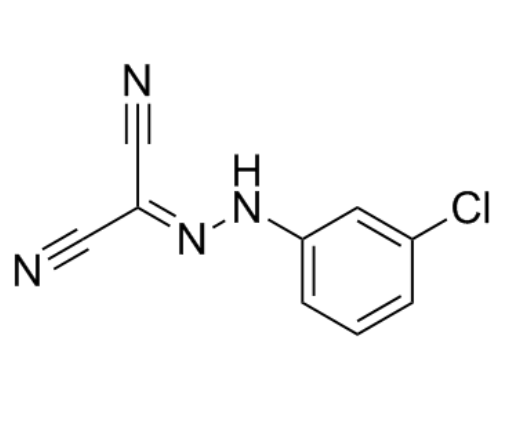 羰基氰酯-3-氯苯基腙,CARBONYL CYANIDE 3-CHLOROPHENYLHYDRAZONE
