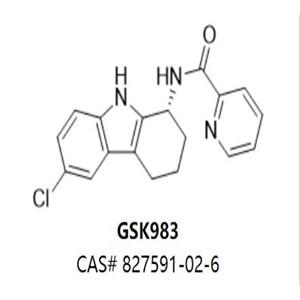 GSK983