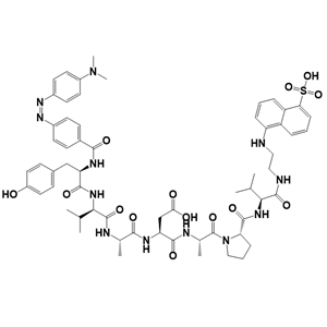荧光底物肽,Dabcyl-YVADAPV-Edans