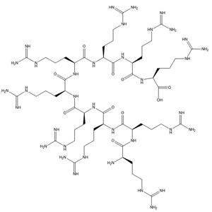 穿膜肽R9/R9/Nonaarginine/143413-47-2