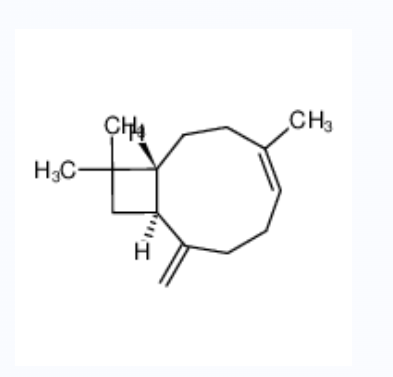 (-)-异丁香烯,(-)-ISOCARYOPHYLLENE