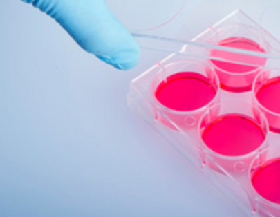 外周血单个核细胞分离试剂盒 PBMC分离液,PBMC Isolation Kit