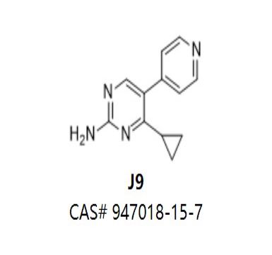 J9,J9