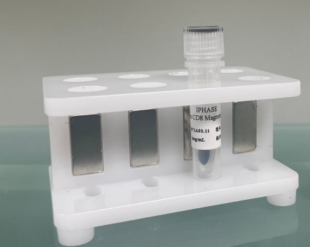 比格犬腎微粒體 Dog Kidney Microsomes,Dog Kidney Microsomes