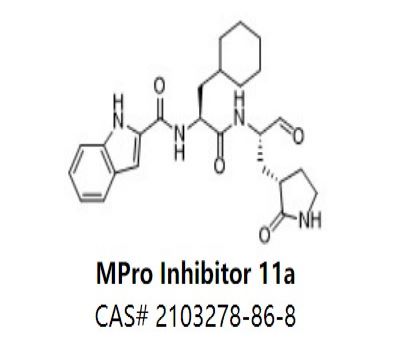 MPro Inhibitor 11a,MPro Inhibitor 11a