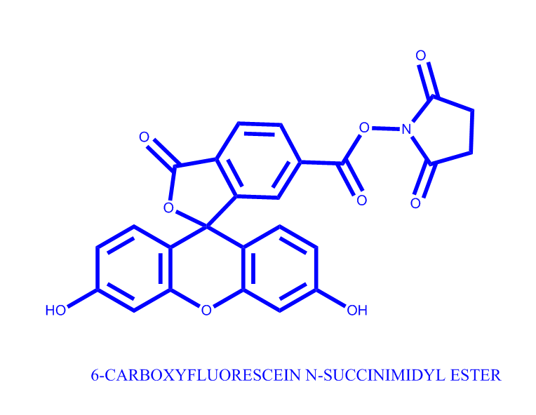 6-羧基荧光素琥珀酰亚胺醚,6-CARBOXYFLUORESCEIN N-SUCCINIMIDYL ESTER