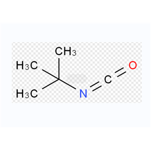 叔丁基异氰酸酯