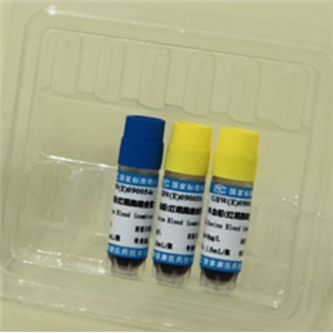 CD8+T细胞分选试剂盒