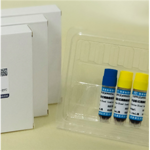 CD56+T细胞分选试剂盒,CD56+ T Cell Isolation Kit