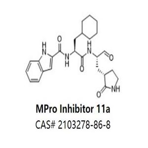 MPro Inhibitor 11a