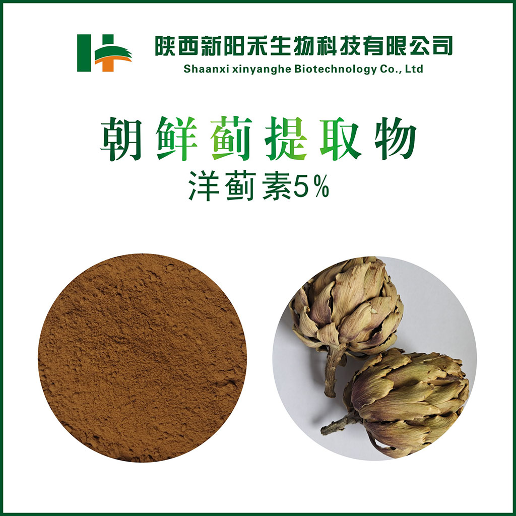 朝鲜蓟提取物 洋蓟素5%,Artichoke Extract