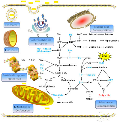 吲哚菁綠修飾的金納米顆粒,Gold Nanoparticles Au-PEG2000-ICG