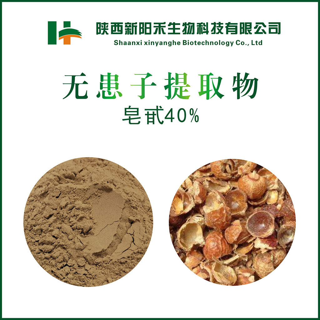 无患子提取物 皂甙40%,Sapindus chinensis extract