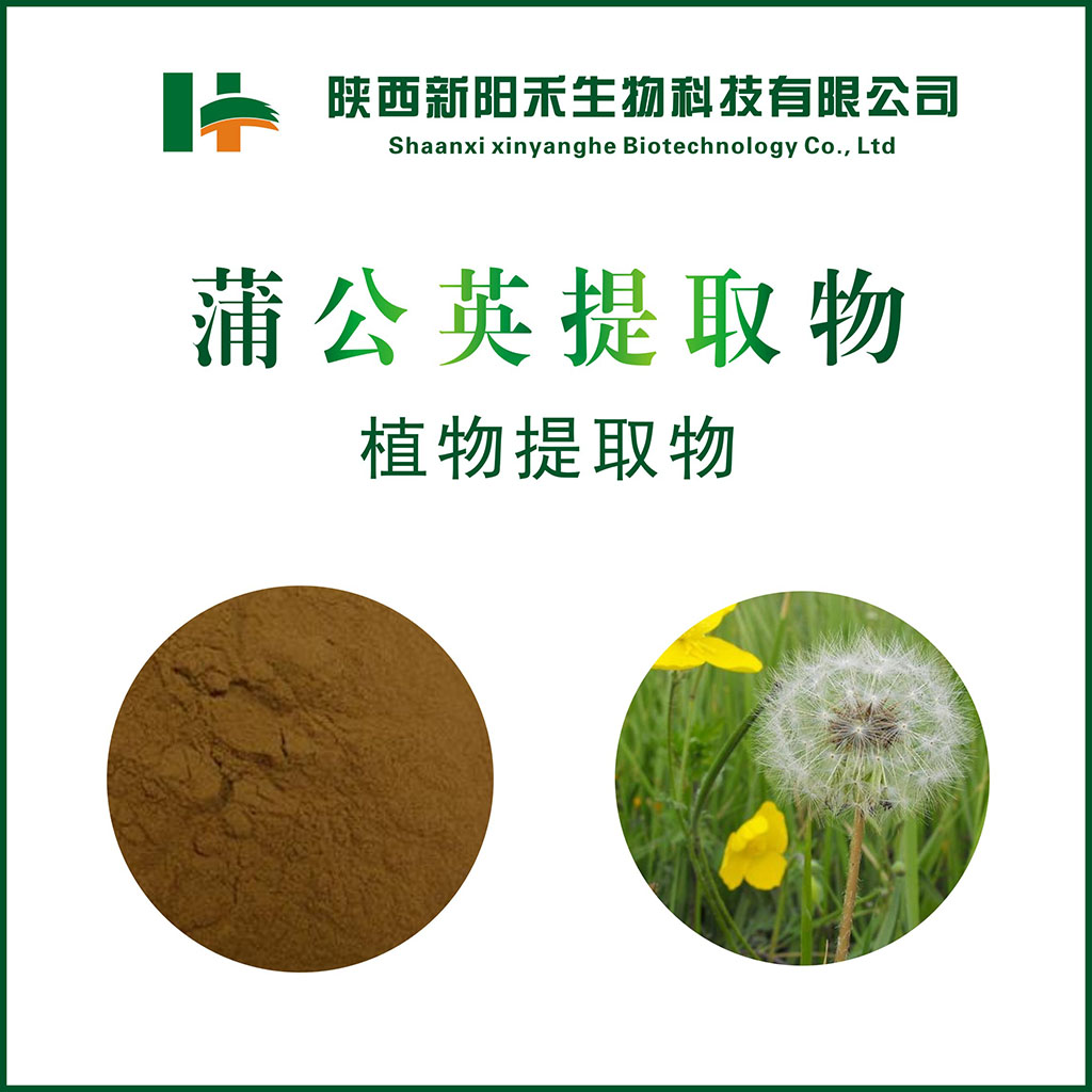 蒲公英提取物,Dandelion root extract