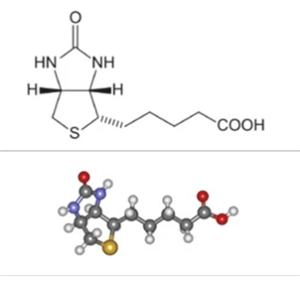 ICG-PEG-Biotin吲哚菁绿-聚乙二醇-生物素
