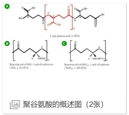 PGA-PEG-ICG聚谷氨酸-聚乙二醇-吲哚菁綠,PGA-PEG-ICG