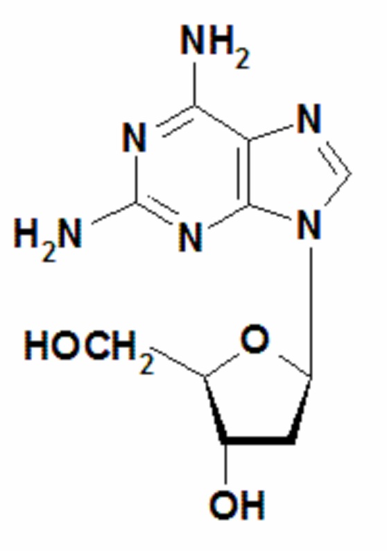2,6-二氨基嘌呤-2’-脱氧核苷,2,6-diaminopurine 2'-deoxyriboside