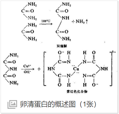 ICG-OVA纳米复合物,ICG-OVA