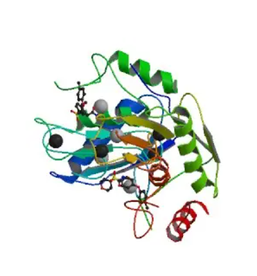 MMPs-PEG-ICG 基質(zhì)金屬蛋白酶MMPs-聚乙二醇-吲哚菁綠,MMPs-PEG-ICG