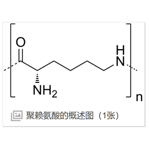 PLL-PEG-ICG聚赖氨酸-聚乙二醇-吲哚菁绿