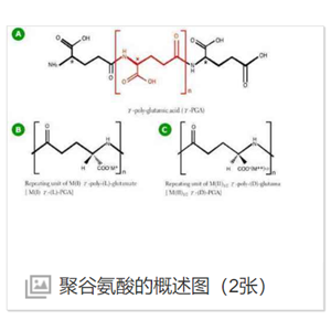 PGA-PEG-ICG聚谷氨酸-聚乙二醇-吲哚菁綠,PGA-PEG-ICG