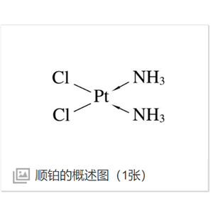 cisplatin-PEG-ICG 顺铂-聚乙二醇-吲哚菁绿