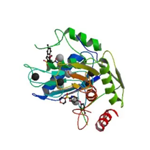 MMPs-PEG-ICG 基質(zhì)金屬蛋白酶MMPs-聚乙二醇-吲哚菁綠,MMPs-PEG-ICG