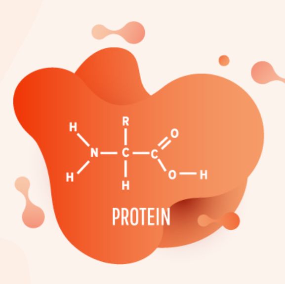 牛血清白蛋白含量标准物质,Bovine Serum Albumin