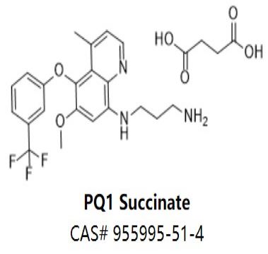 PQ1 Succinate,PQ1 Succinate