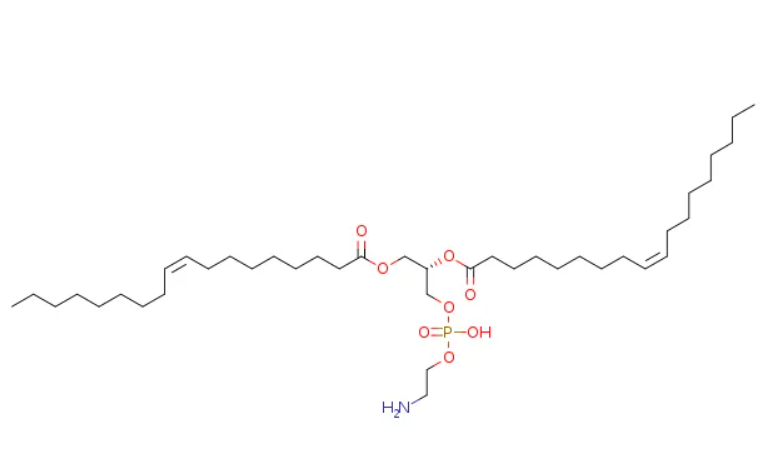 ICG-PEG-DLPE 二月桂?；字Ｒ掖及?聚乙二醇-吲哚菁綠,ICG-PEG-DLPE