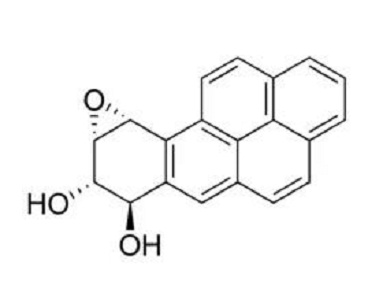 苯并芘专用柱