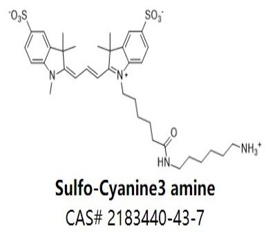 Sulfo-Cyanine3 amine,Sulfo-Cyanine3 amine